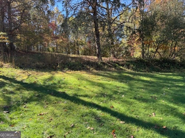 22 Orange Lane McCaysville - 65