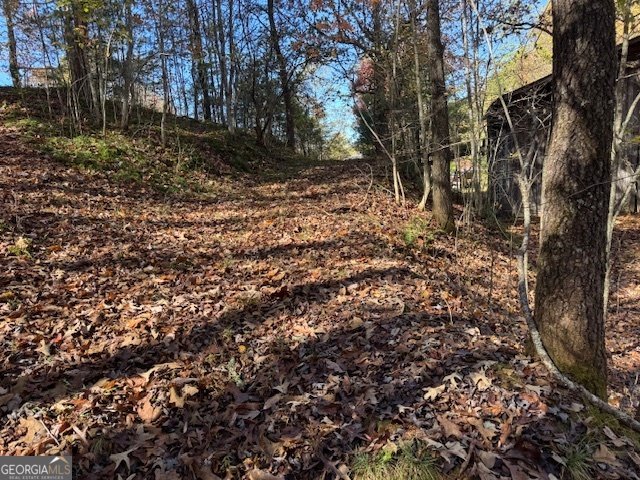 22 Orange Lane McCaysville - 69