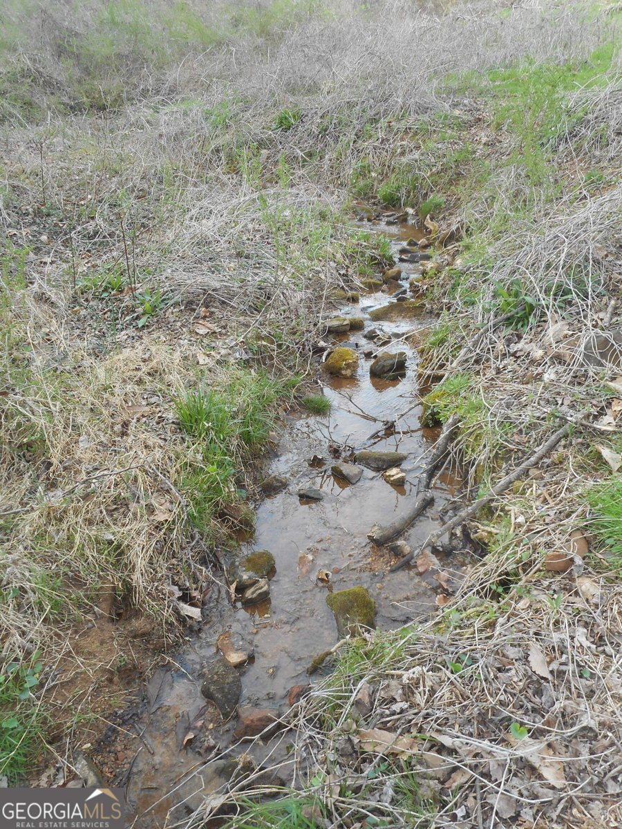 530 Grandview Avenue Mount Airy - 2