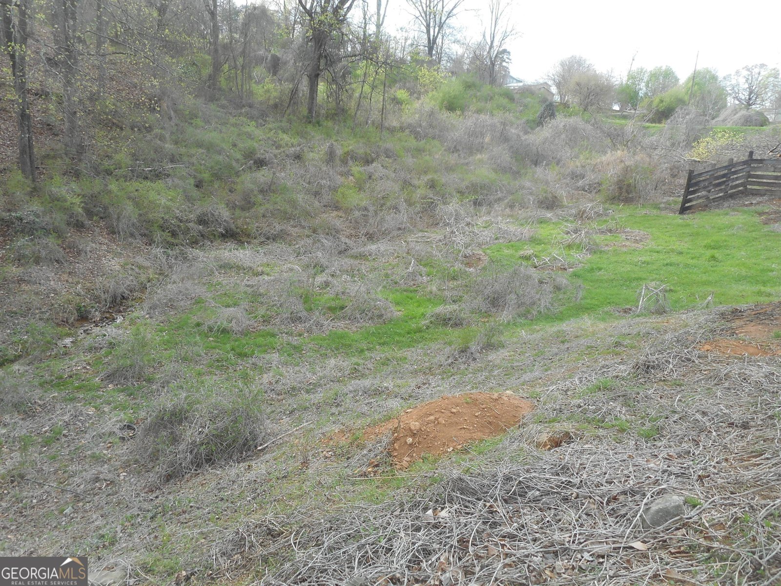 530 Grandview Avenue Mount Airy - 4