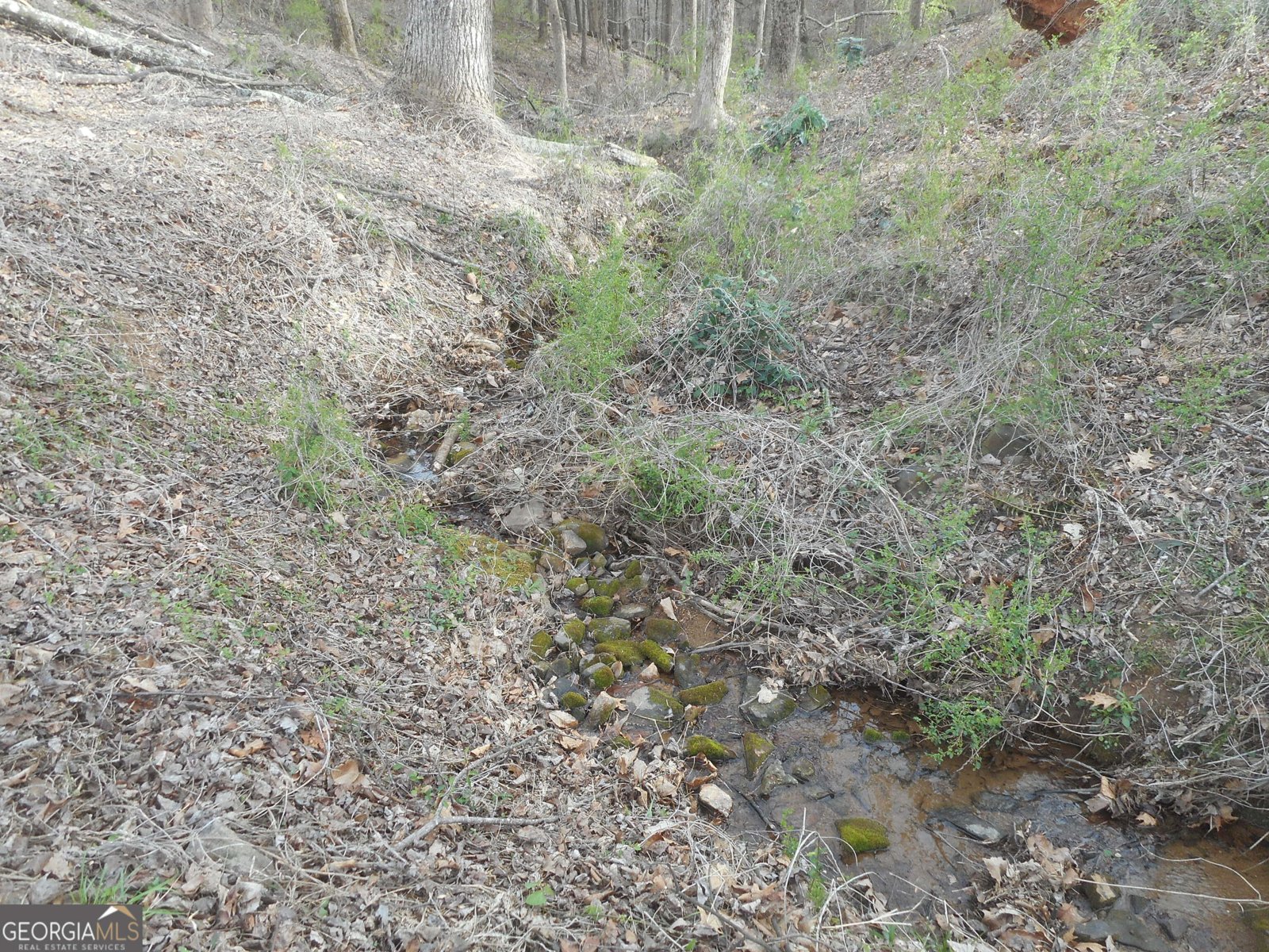 530 Grandview Avenue Mount Airy - 5