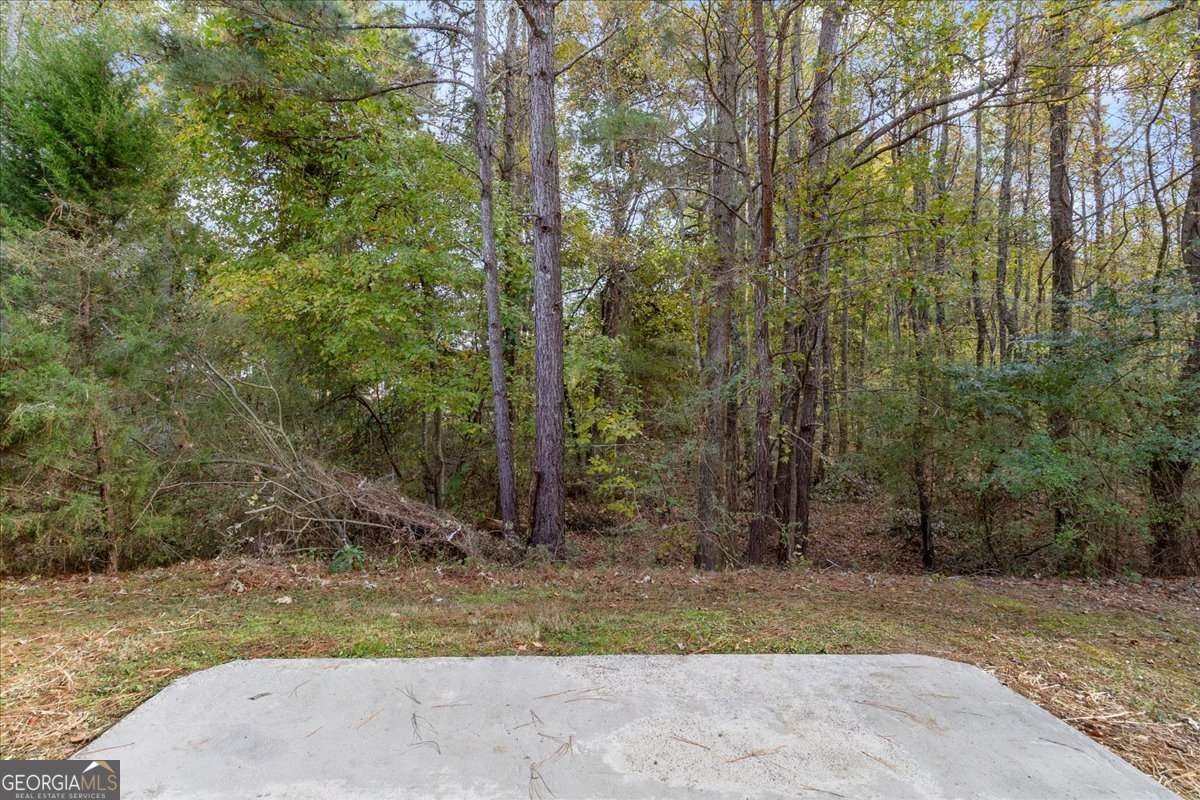 4909 Lily Stem Drive Auburn - 60