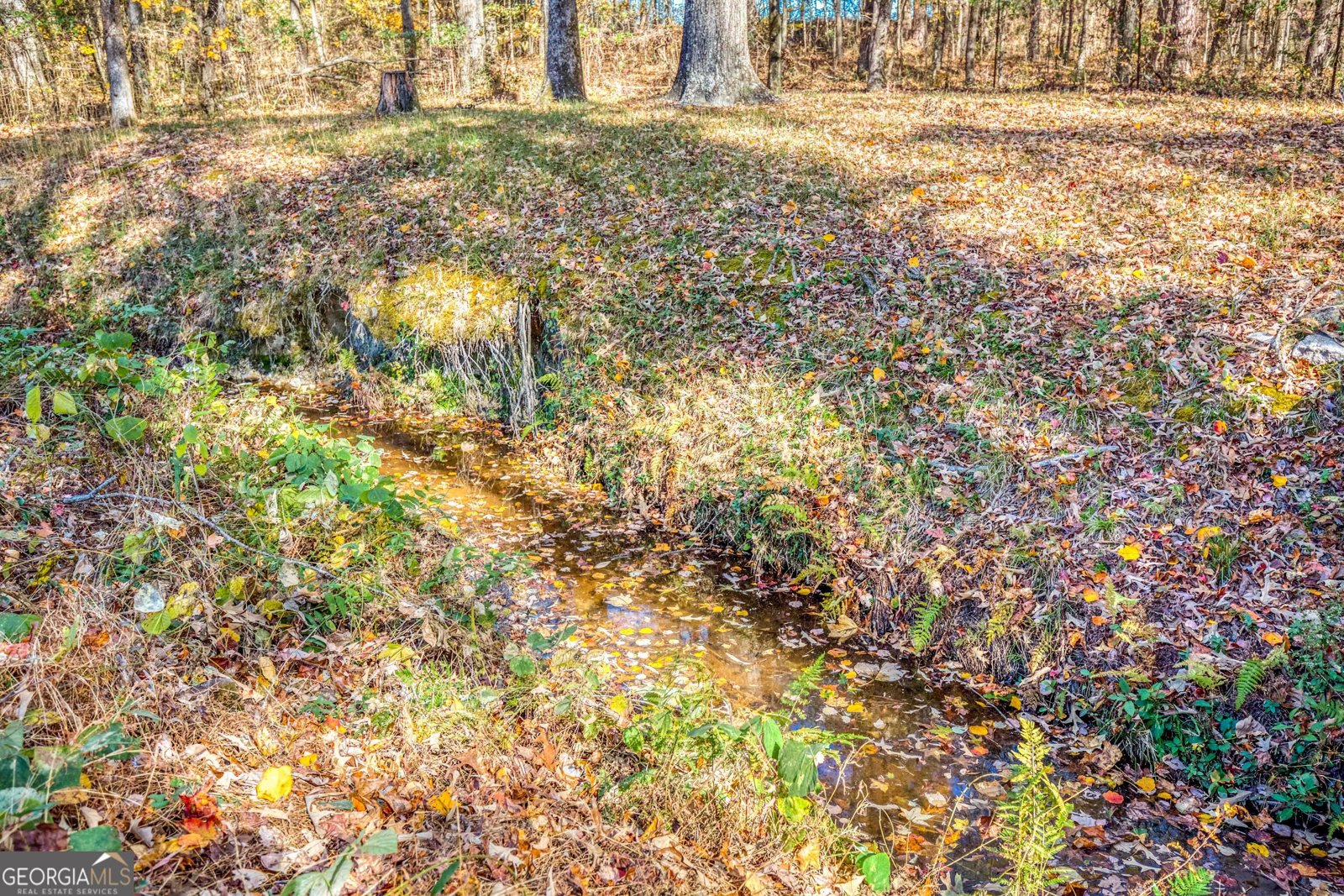 23 Woodland Road Auburn - 34