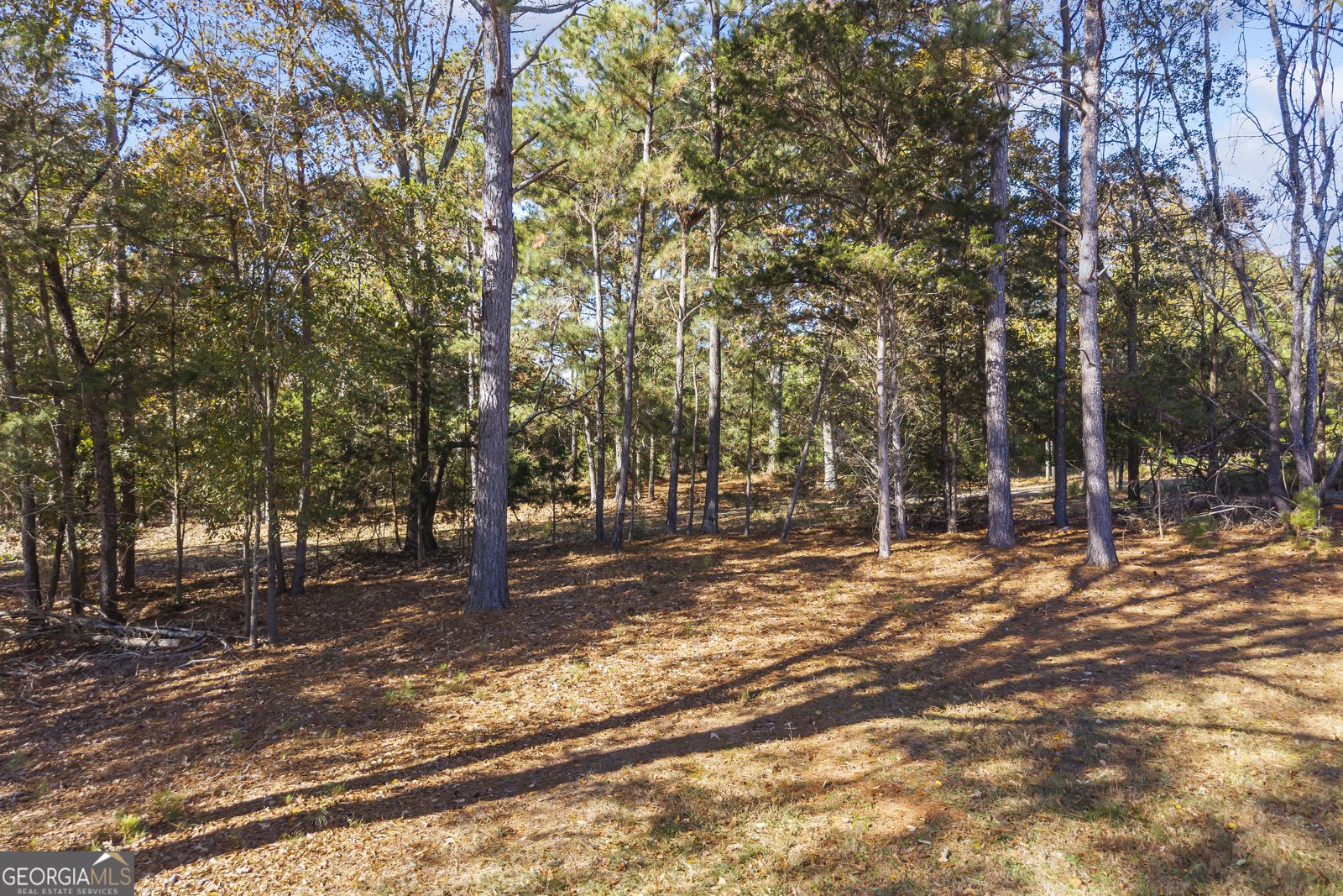 32 Shirleys Way Hartwell - 9