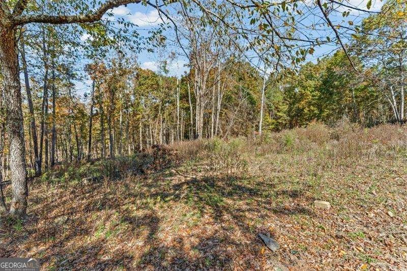 110 Williams Road Silver Creek - 49