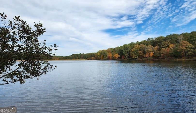 3580 Brookview Drive Loganville - 29