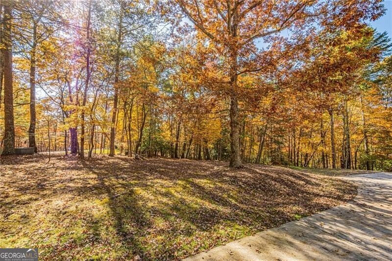 64 Highview Lane Dahlonega - 73