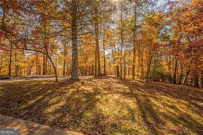 64 Highview Lane Dahlonega - 74