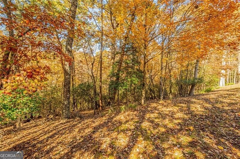 64 Highview Lane Dahlonega - 86