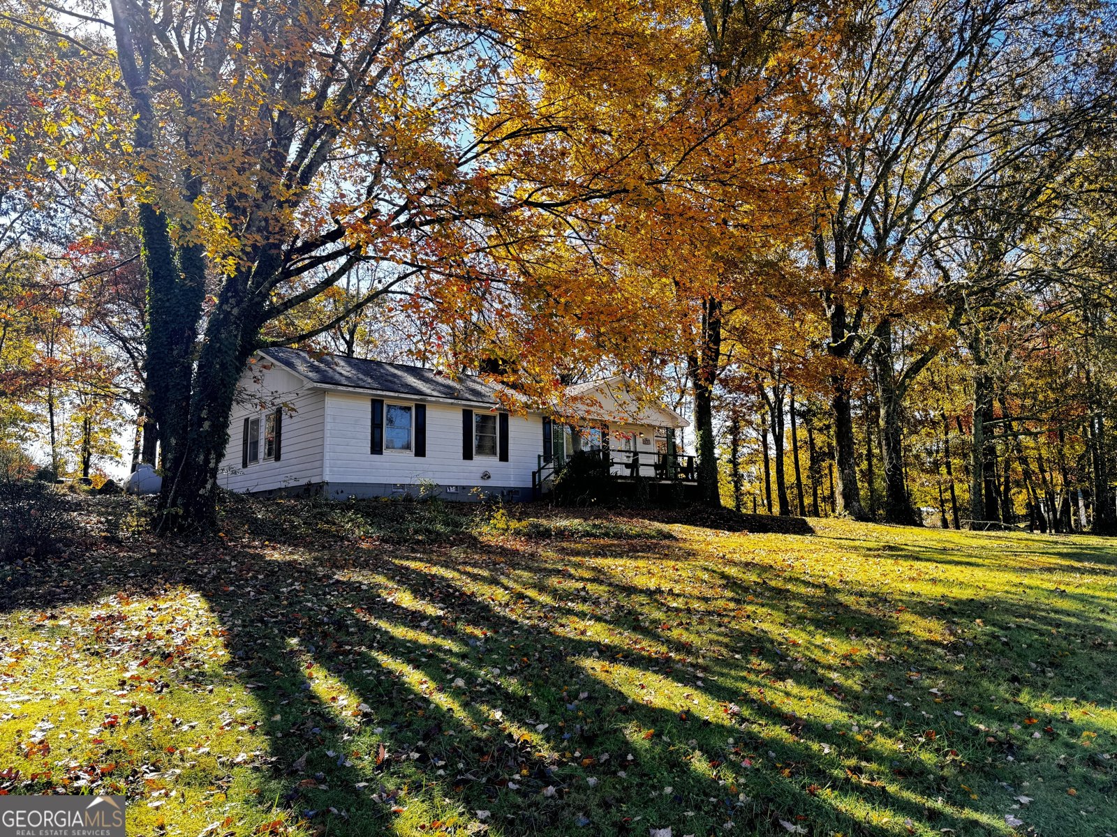 22 Ilene Drive Cleveland - 1