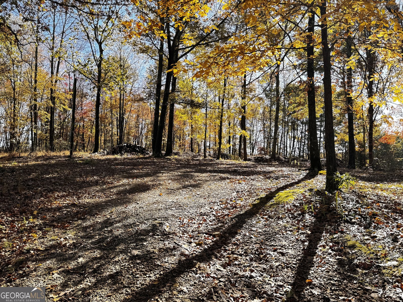 22 Ilene Drive Cleveland - 10