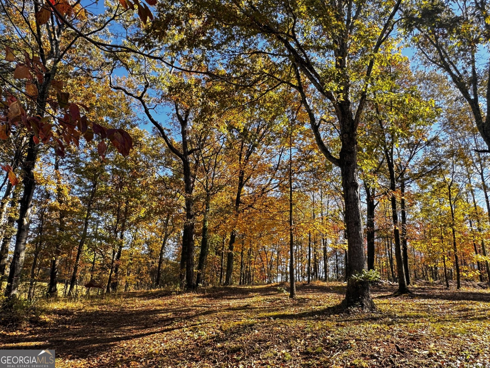 22 Ilene Drive Cleveland - 12