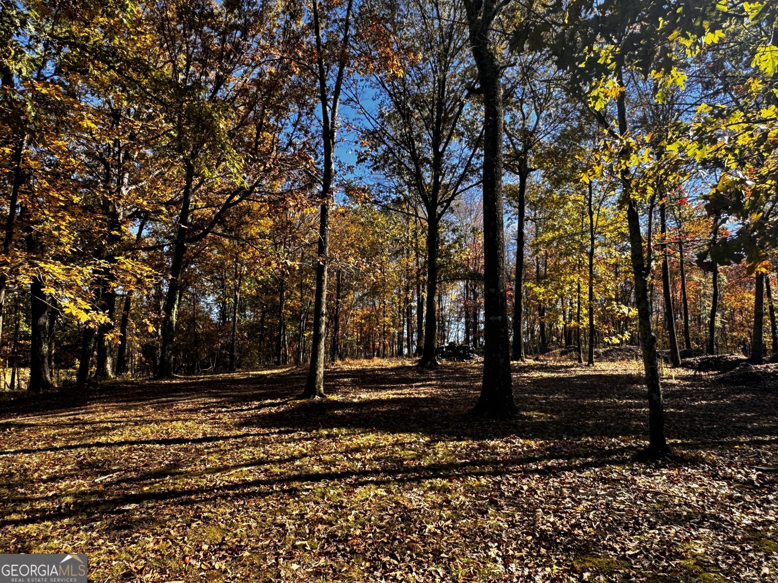 22 Ilene Drive Cleveland - 6