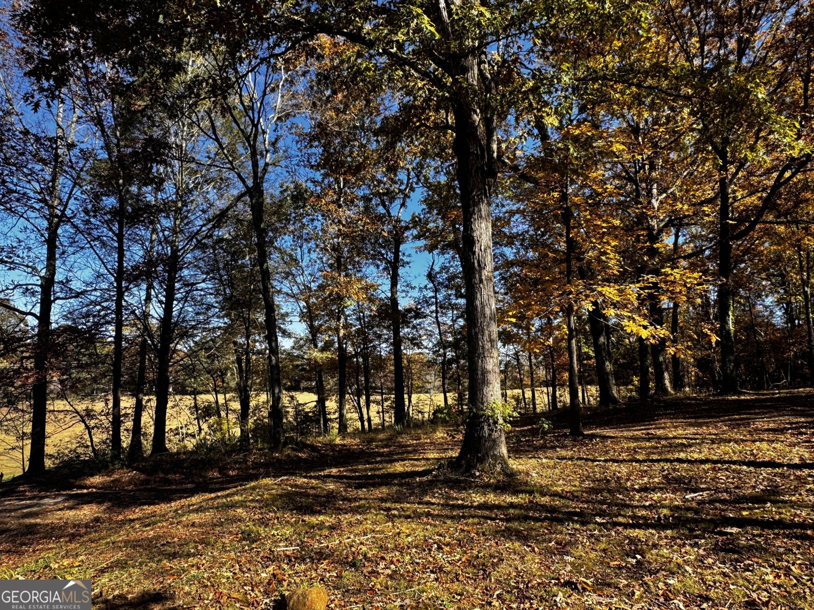 22 Ilene Drive Cleveland - 8