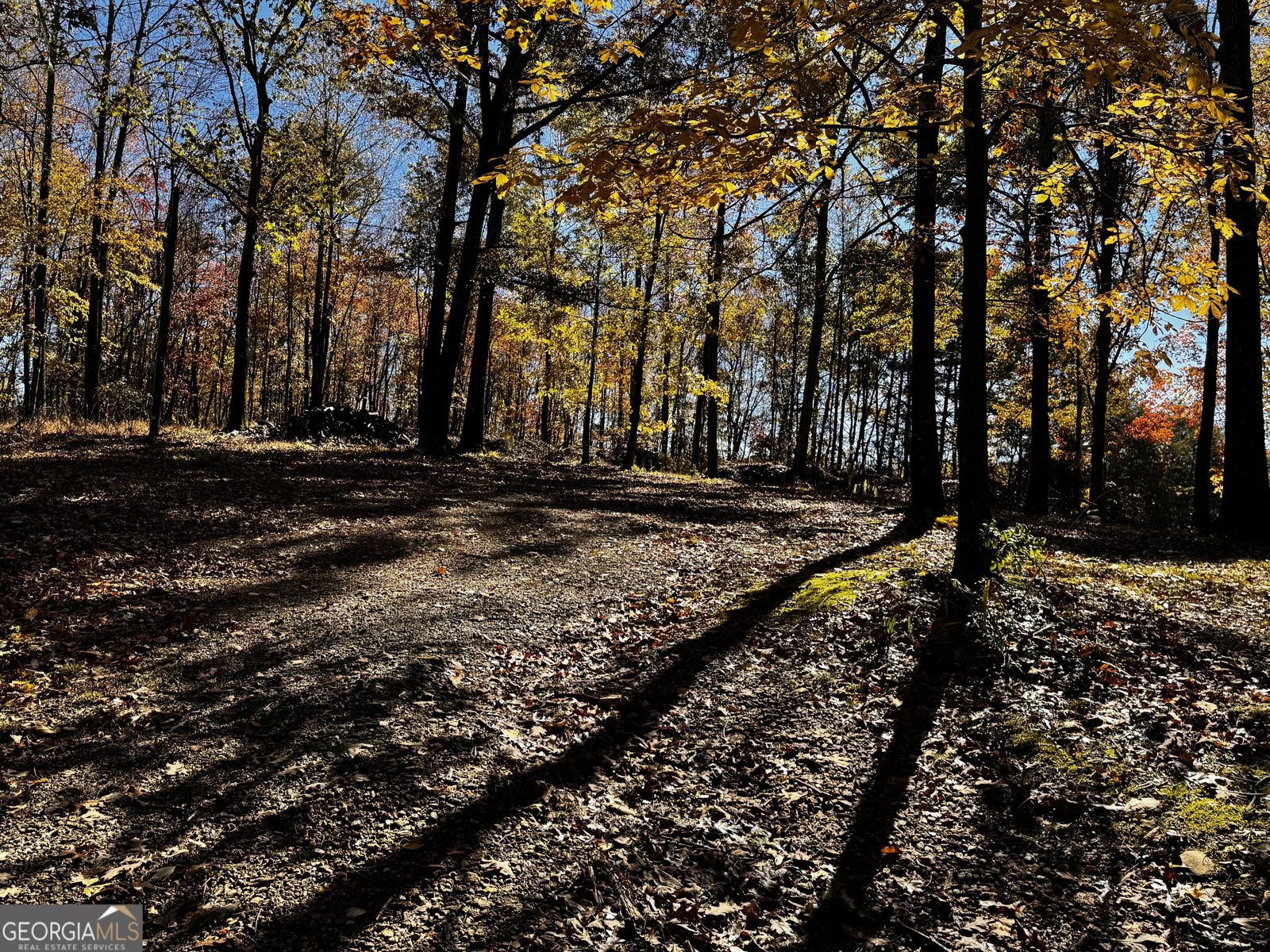 22 Ilene Drive Cleveland - 9