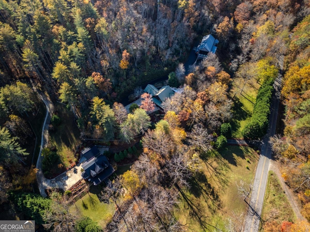 60 Ford Road Blue Ridge - 45