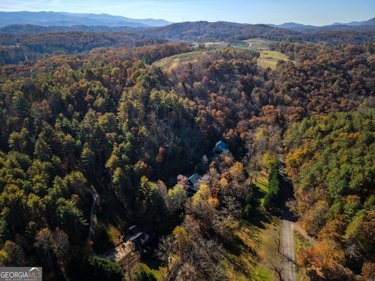 60 Ford Road Blue Ridge - 46