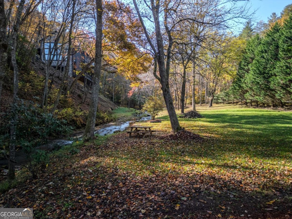 60 Ford Road Blue Ridge - 49