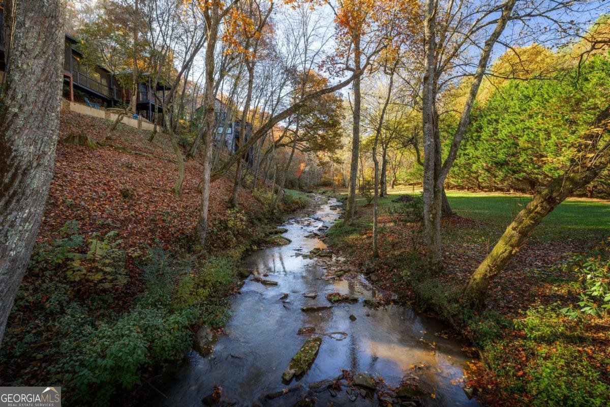 60 Ford Road Blue Ridge - 53