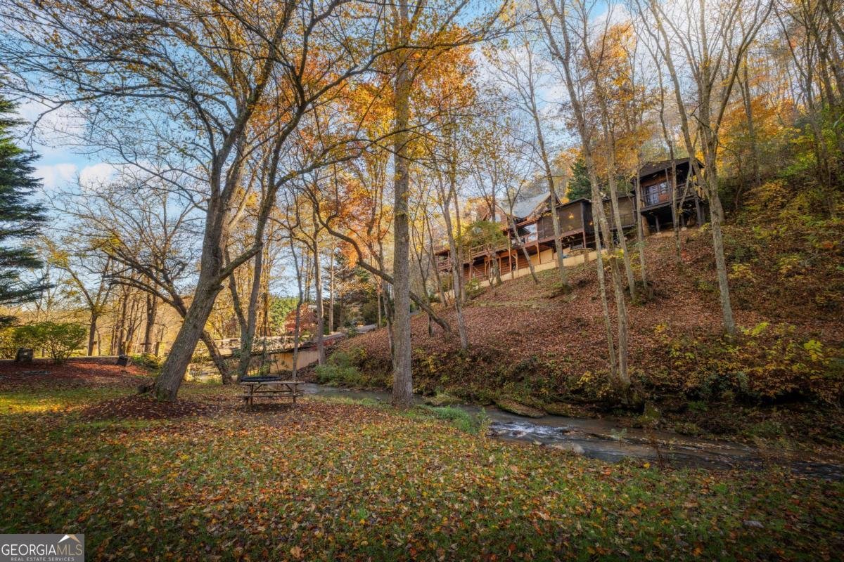 60 Ford Road Blue Ridge - 55