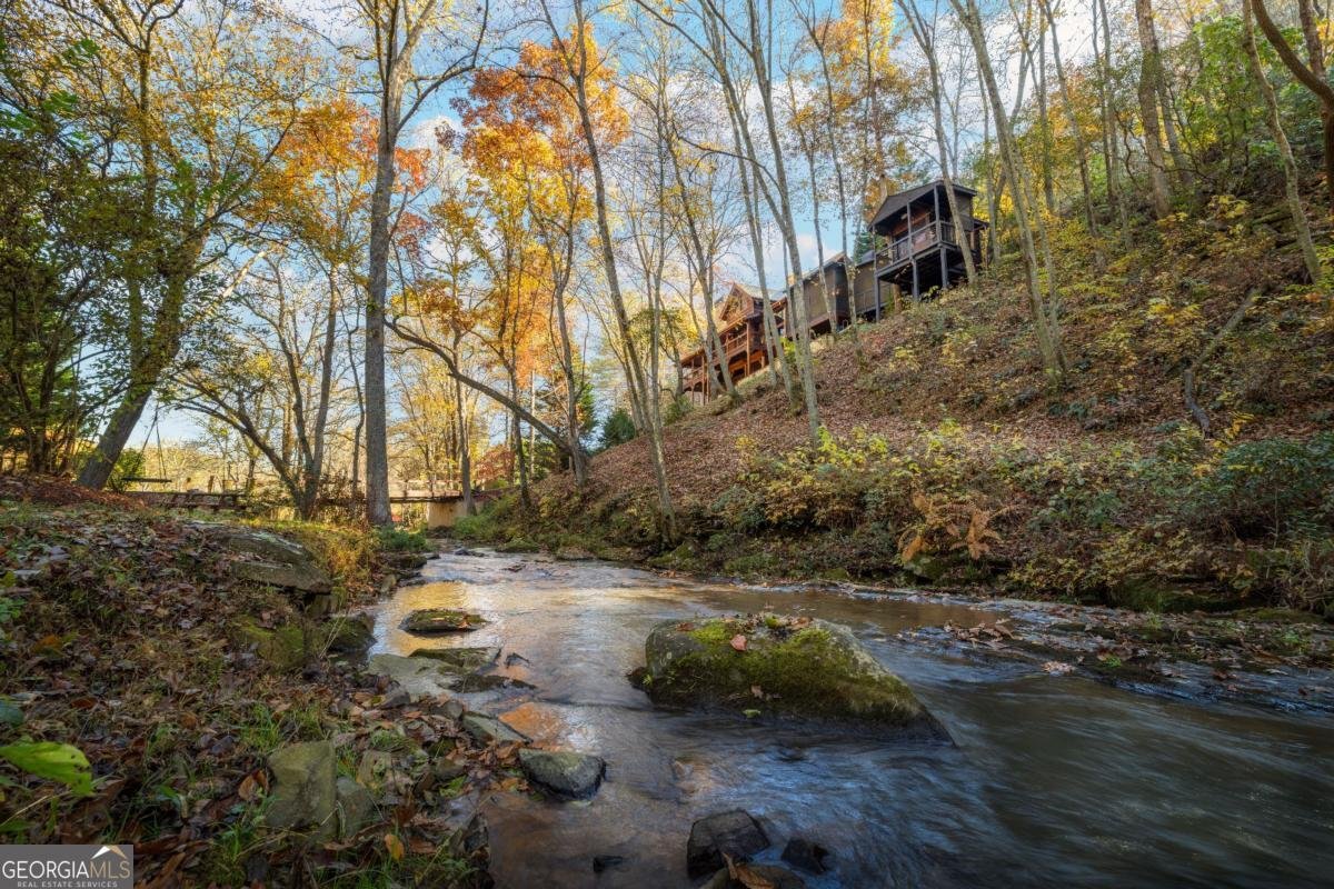 60 Ford Road Blue Ridge - 56