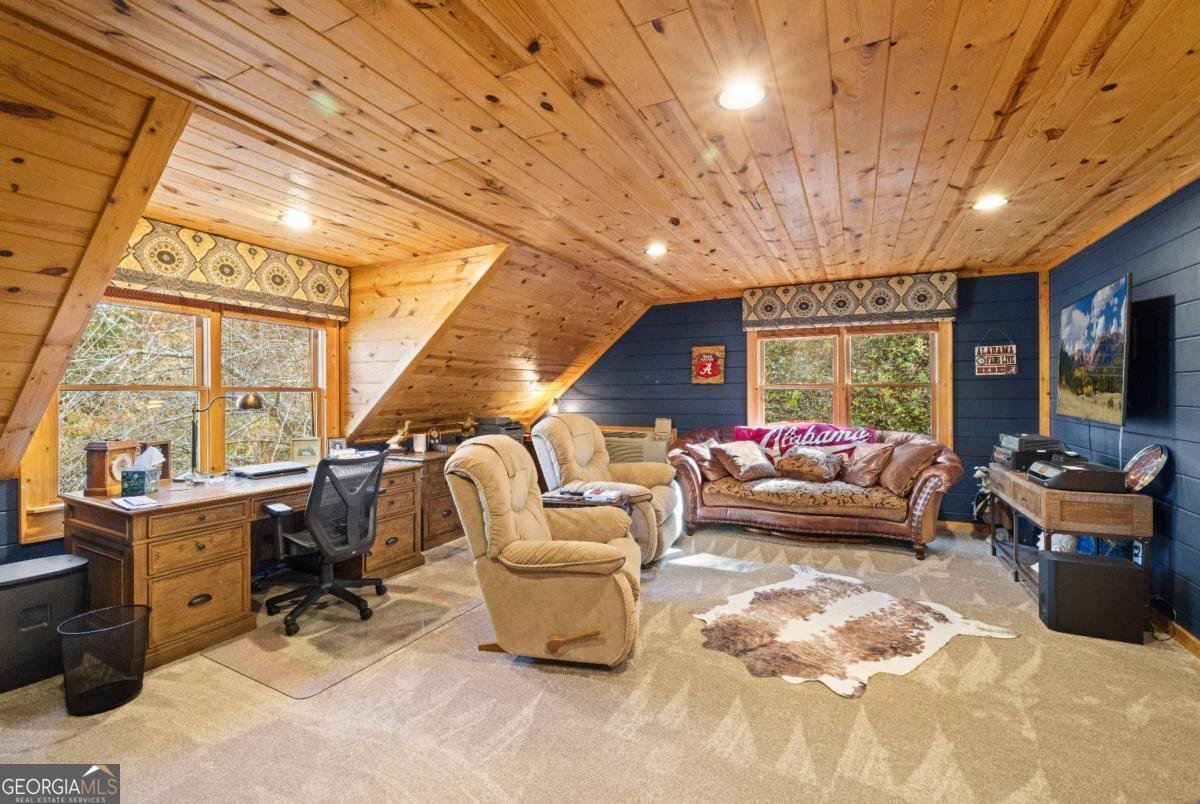 60 Ford Road Blue Ridge - 6