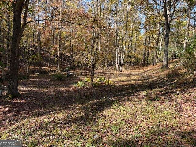 616 Gibson Trail Jasper - 4