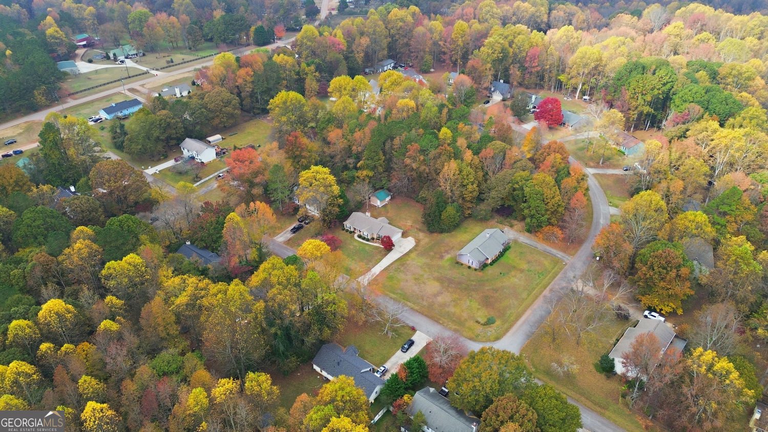 4521 Trellis Way Braselton - 34