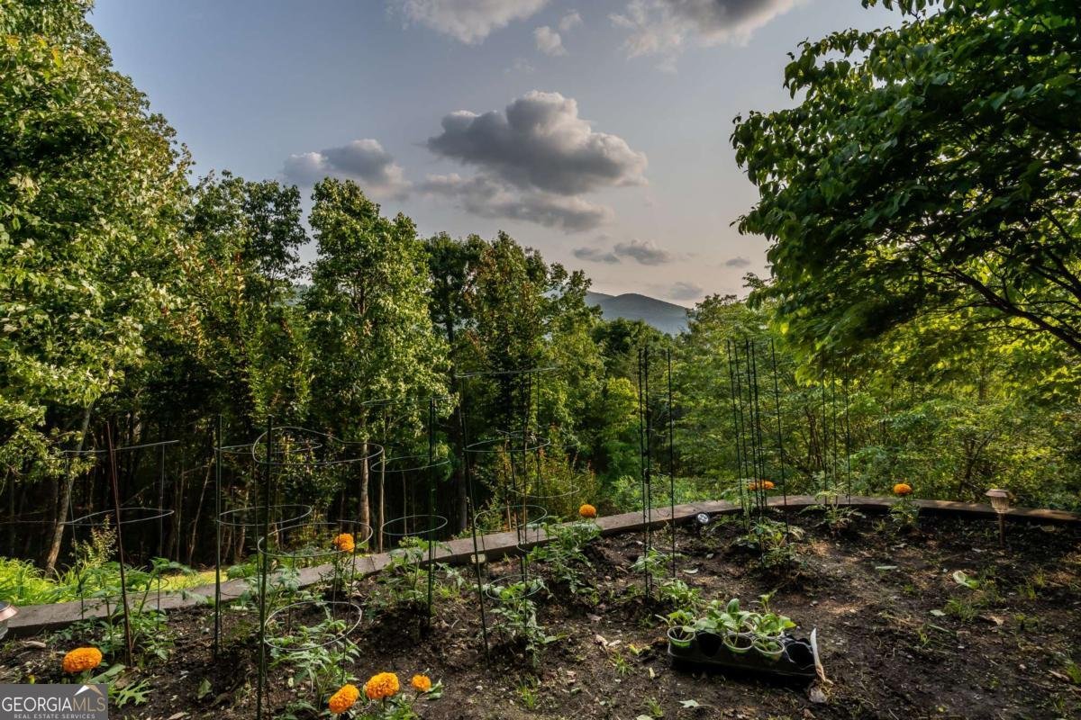 349 Moon Shadow View Blairsville - 28