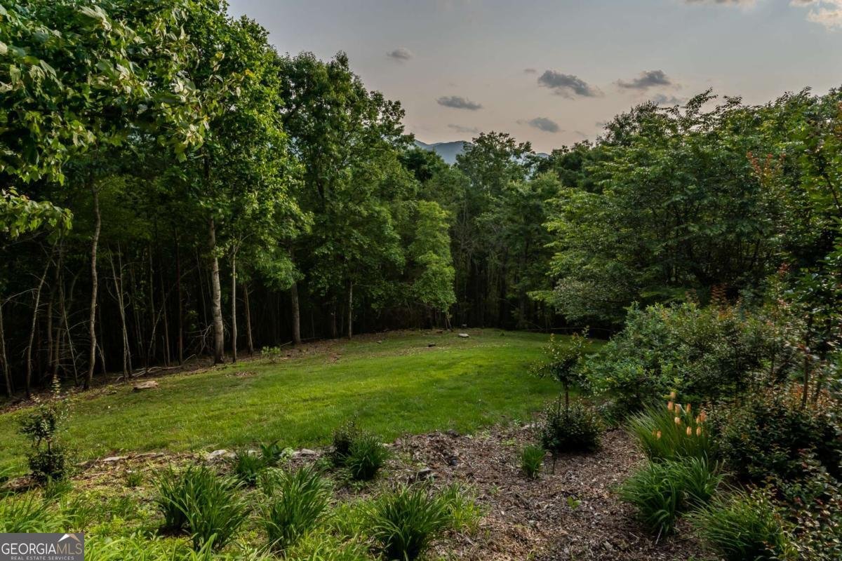 349 Moon Shadow View Blairsville - 32