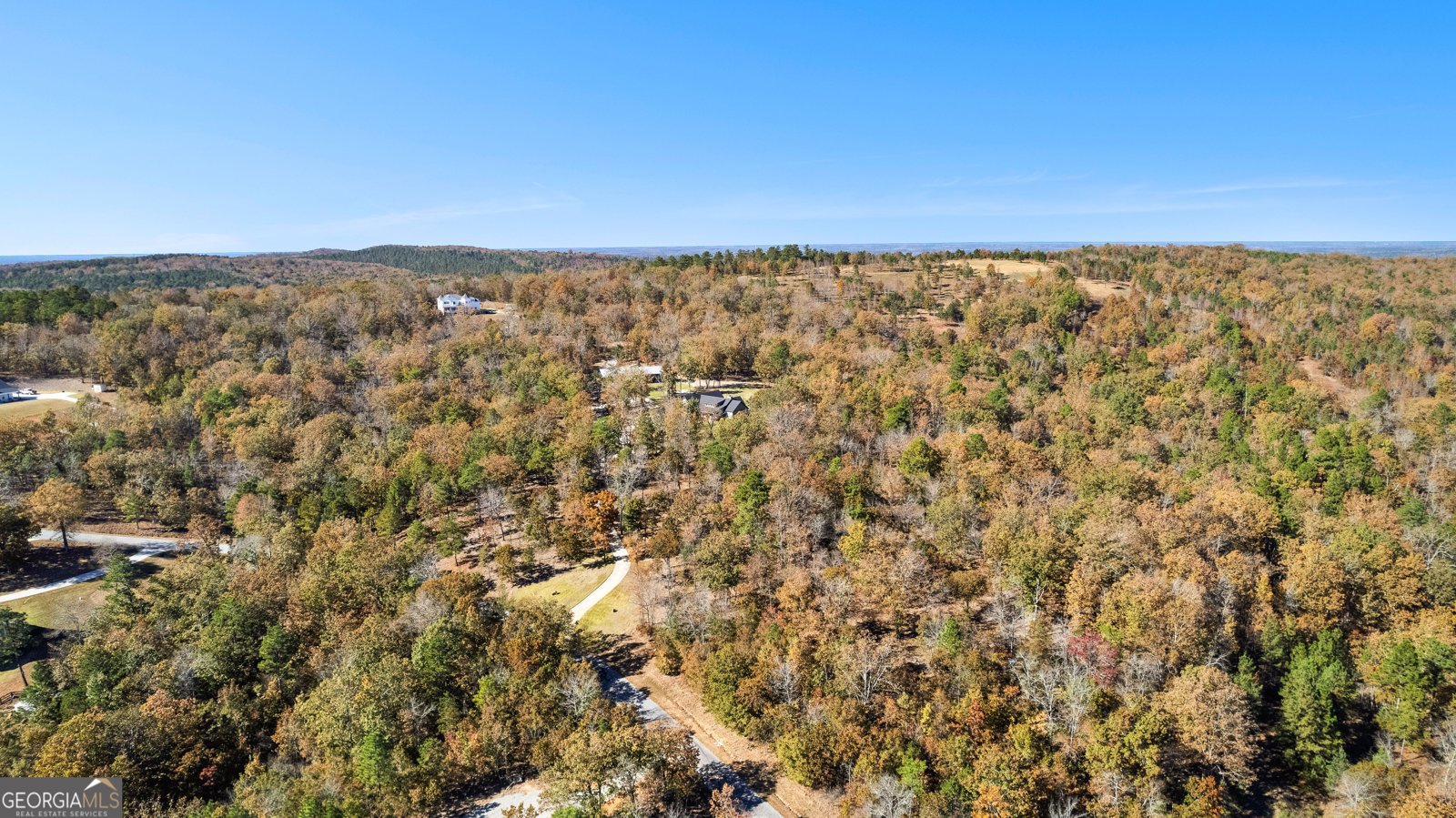 101 Trent Jones Circle Meansville - 91