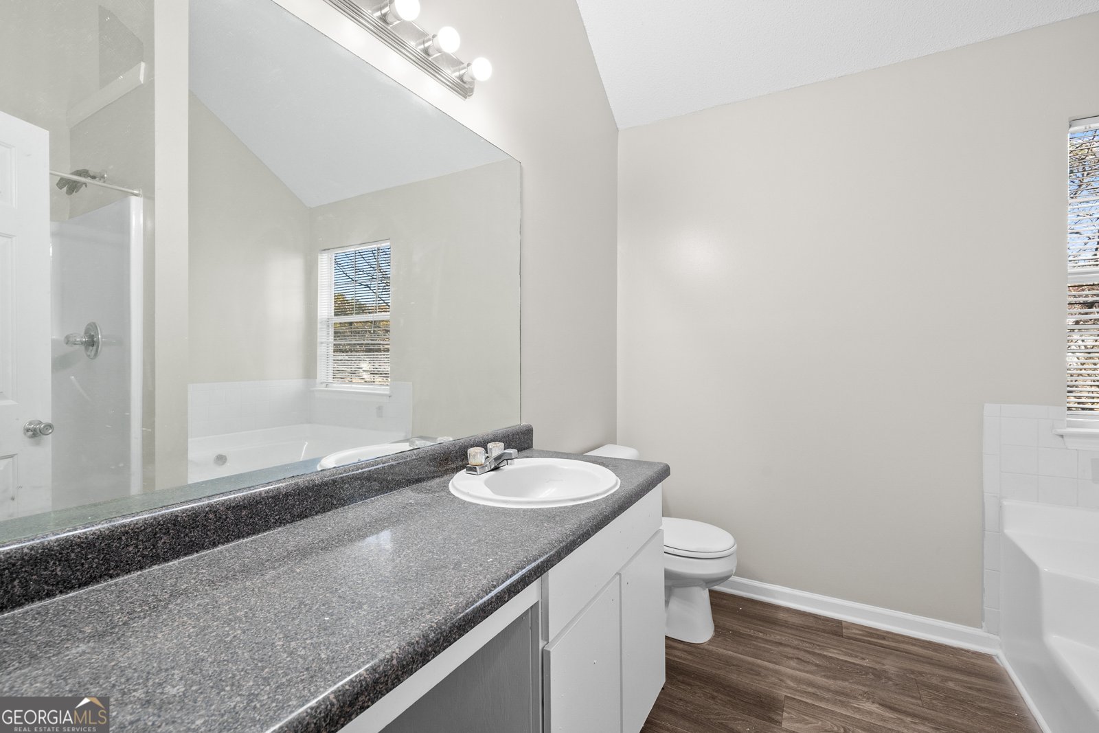 6442 Stonebridge Creek Lane Lithonia - 19