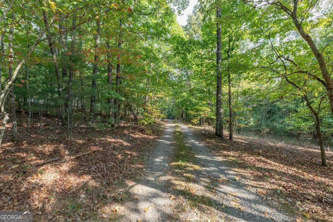 132 Silver Dollar Lane Young Harris - 17