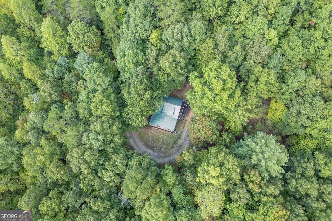 132 Silver Dollar Lane Young Harris - 21