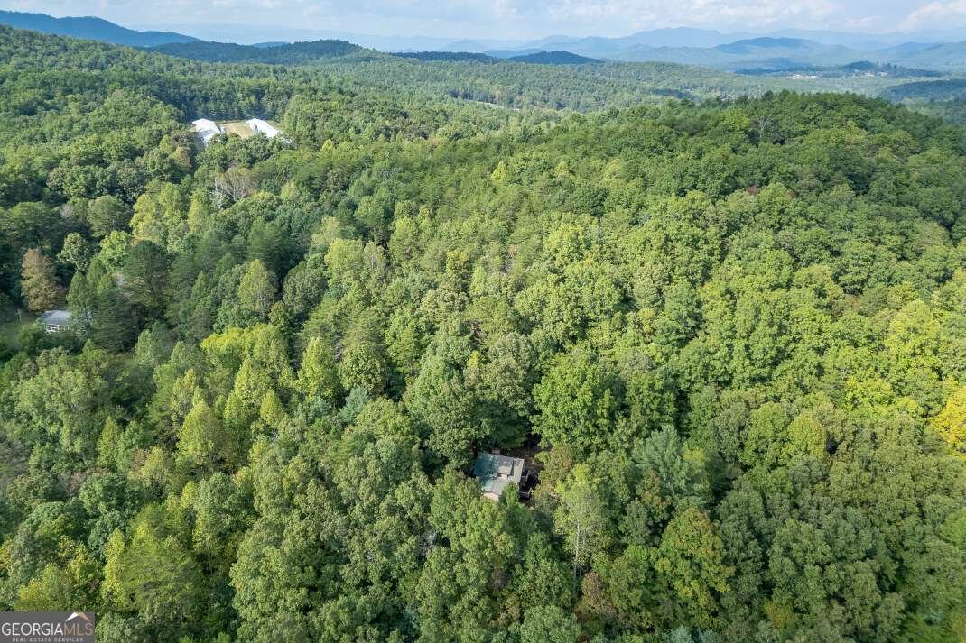 132 Silver Dollar Lane Young Harris - 23