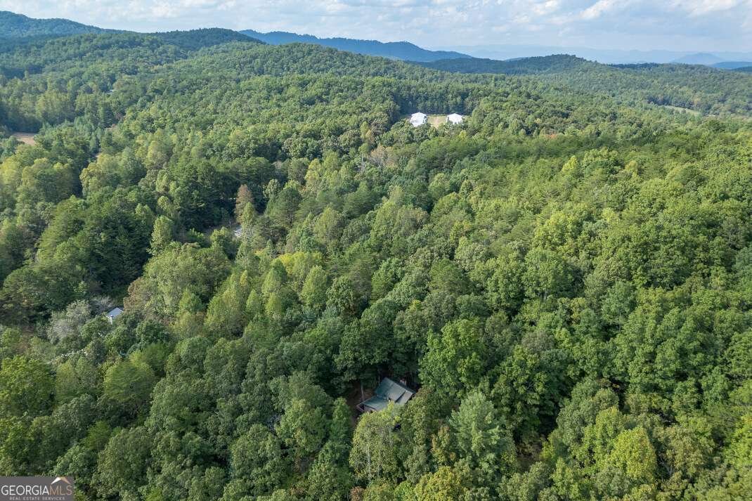 132 Silver Dollar Lane Young Harris - 24