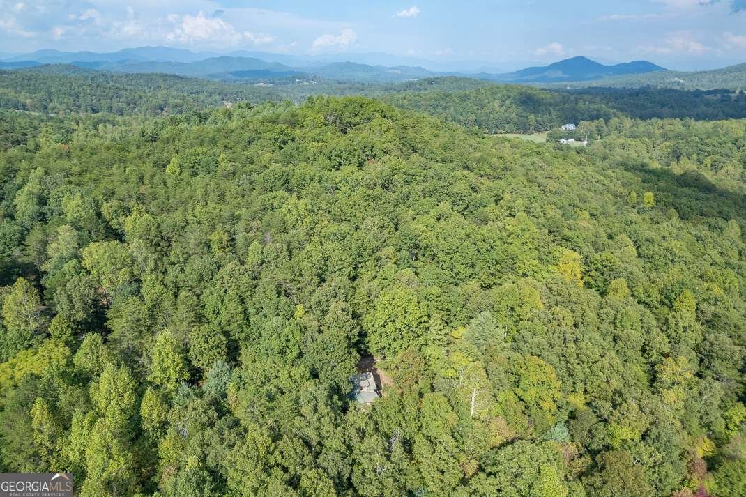 132 Silver Dollar Lane Young Harris - 25