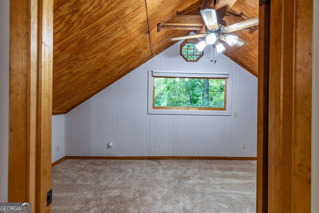 132 Silver Dollar Lane Young Harris - 30