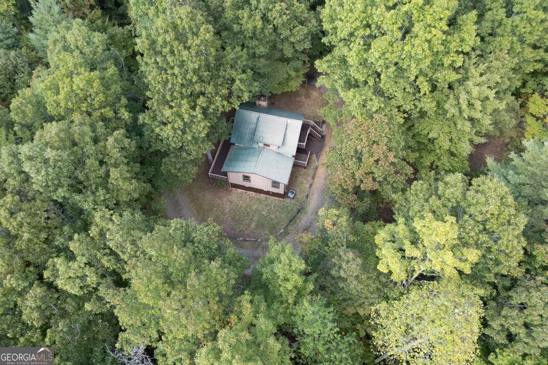 132 Silver Dollar Lane Young Harris - 58