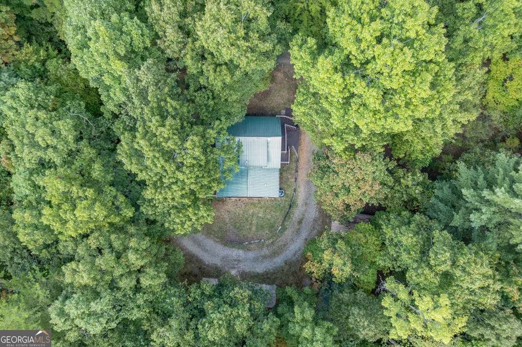 132 Silver Dollar Lane Young Harris - 59