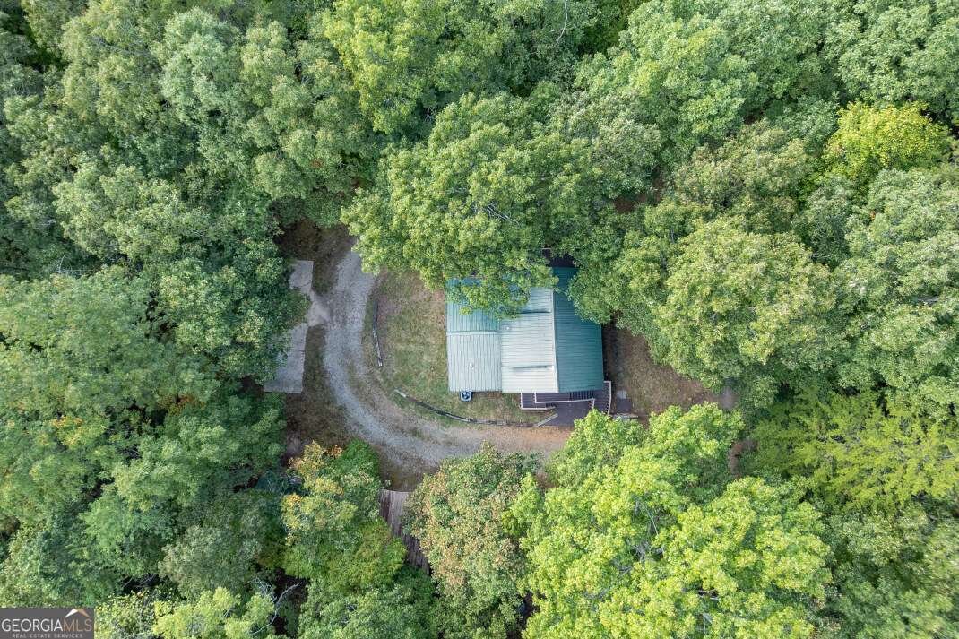 132 Silver Dollar Lane Young Harris - 60