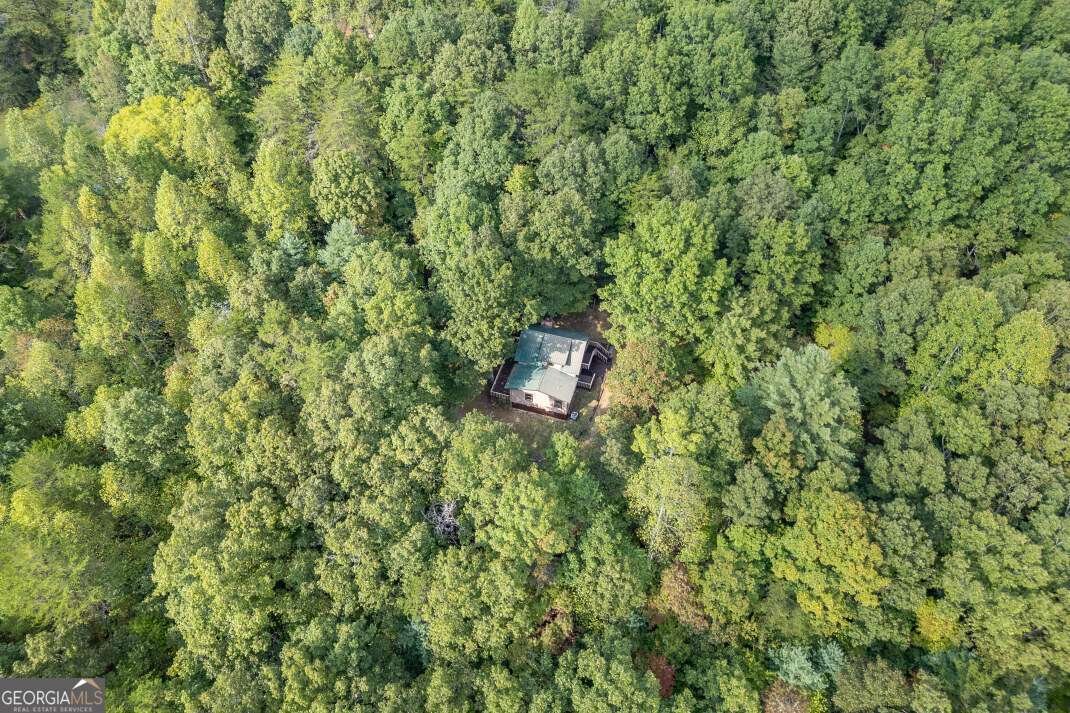 132 Silver Dollar Lane Young Harris - 62