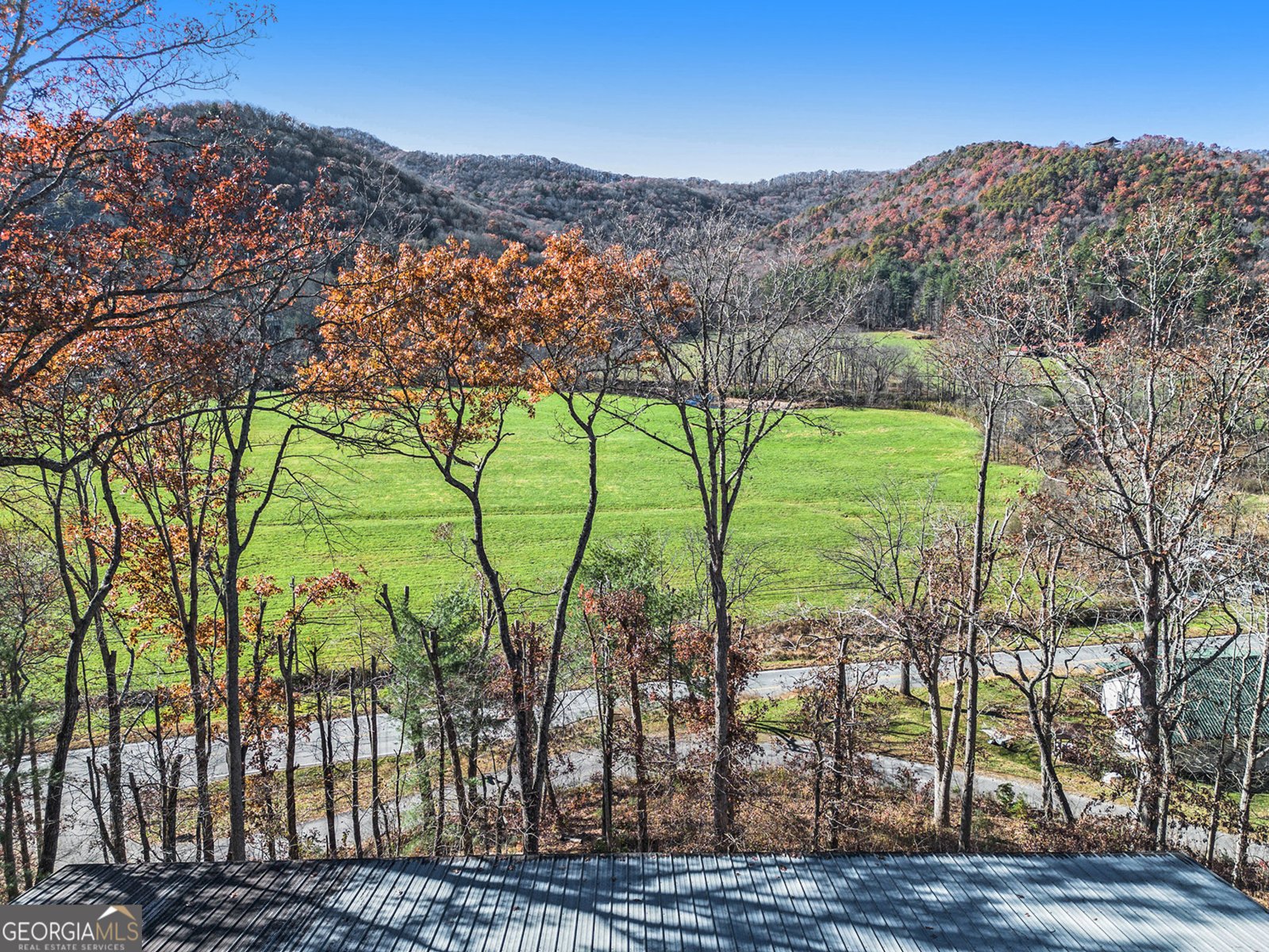 2226 Layson Road Hiawassee - 13