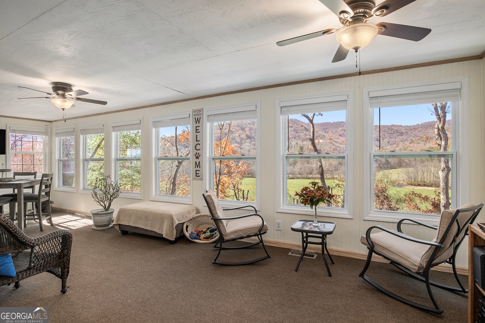 2226 Layson Road Hiawassee - 29