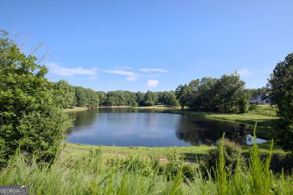 25 Clearwater Court Hoschton - 35