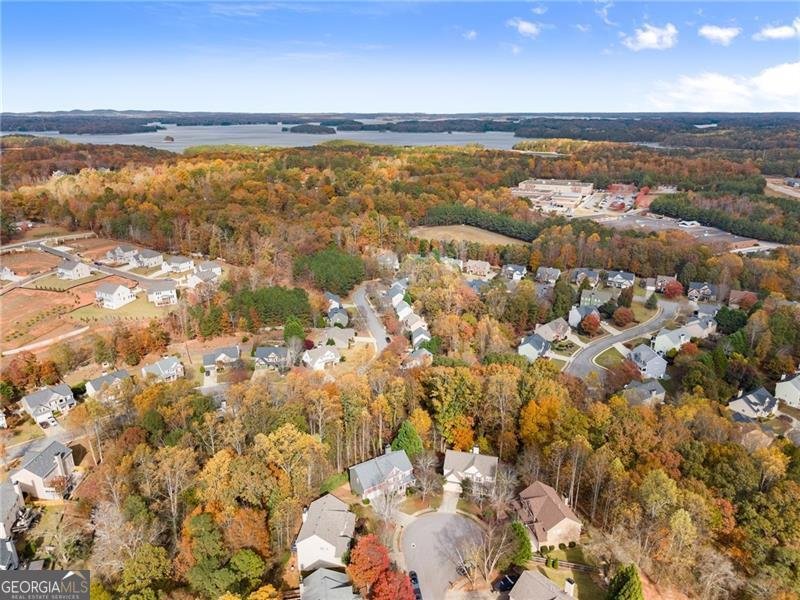 1000 Island Bluff Lane Buford - 1