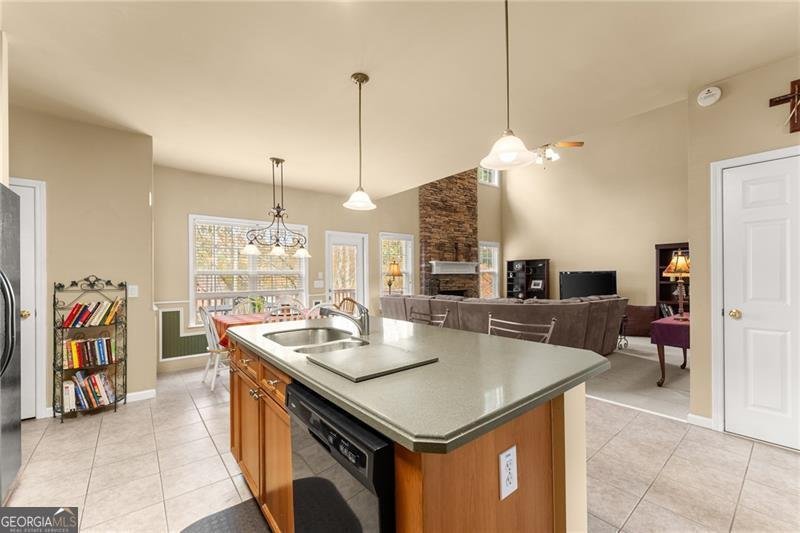 1000 Island Bluff Lane Buford - 13