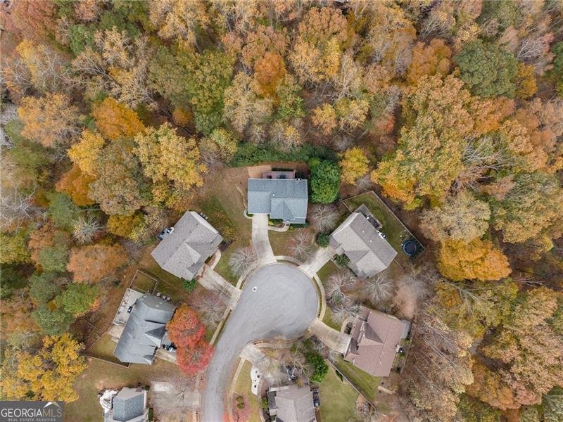 1000 Island Bluff Lane Buford - 53