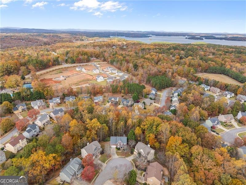 1000 Island Bluff Lane Buford - 55