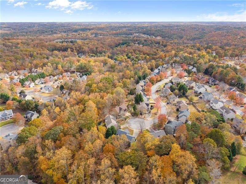 1000 Island Bluff Lane Buford - 6